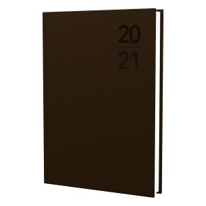 DEBDEN Silhouette A4 Day to Page Diary S4100 Copper
