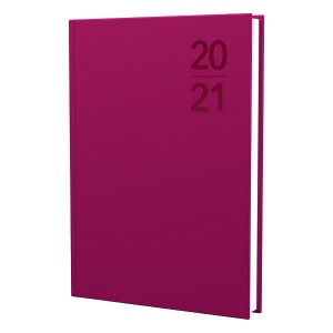 DEBDEN Silhouette A5 Day to Page Diary S5100 Pink