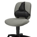 Fellowes® Professional Series™ Back Support 8037601