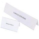 REXEL Name Plates 90035 (Small) & 90036 (Large)
