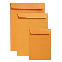 Gold Pocket Envelopes