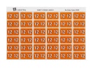 AVERY® 43362 Side Tab Colour Coding Year '12' Labels Pk180
