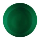 EC Rainbow Paint 250ml Brilliant Green R250GR