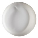 EC Rainbow Paint 250ml White R250WHT