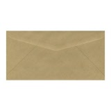 Specialty Envelope DL 110 x 220mm Brown Kraft